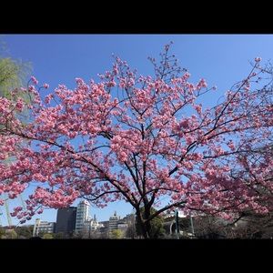 Meet your Posher, Diana